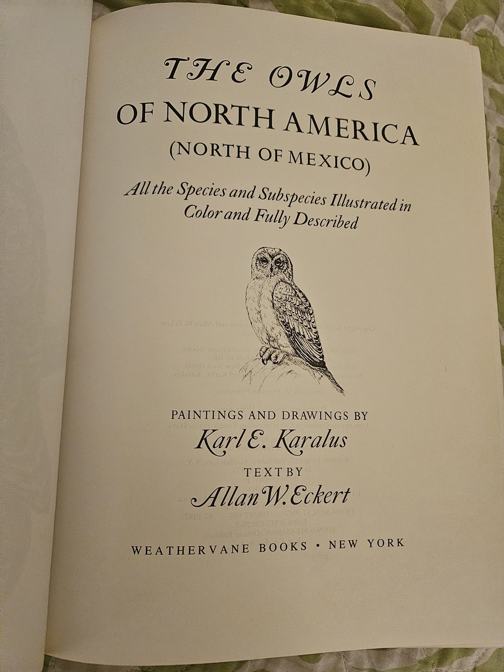 Vintage The Owls of North America Coffee Table Book — cream, brown, black - Picture 4 of 8